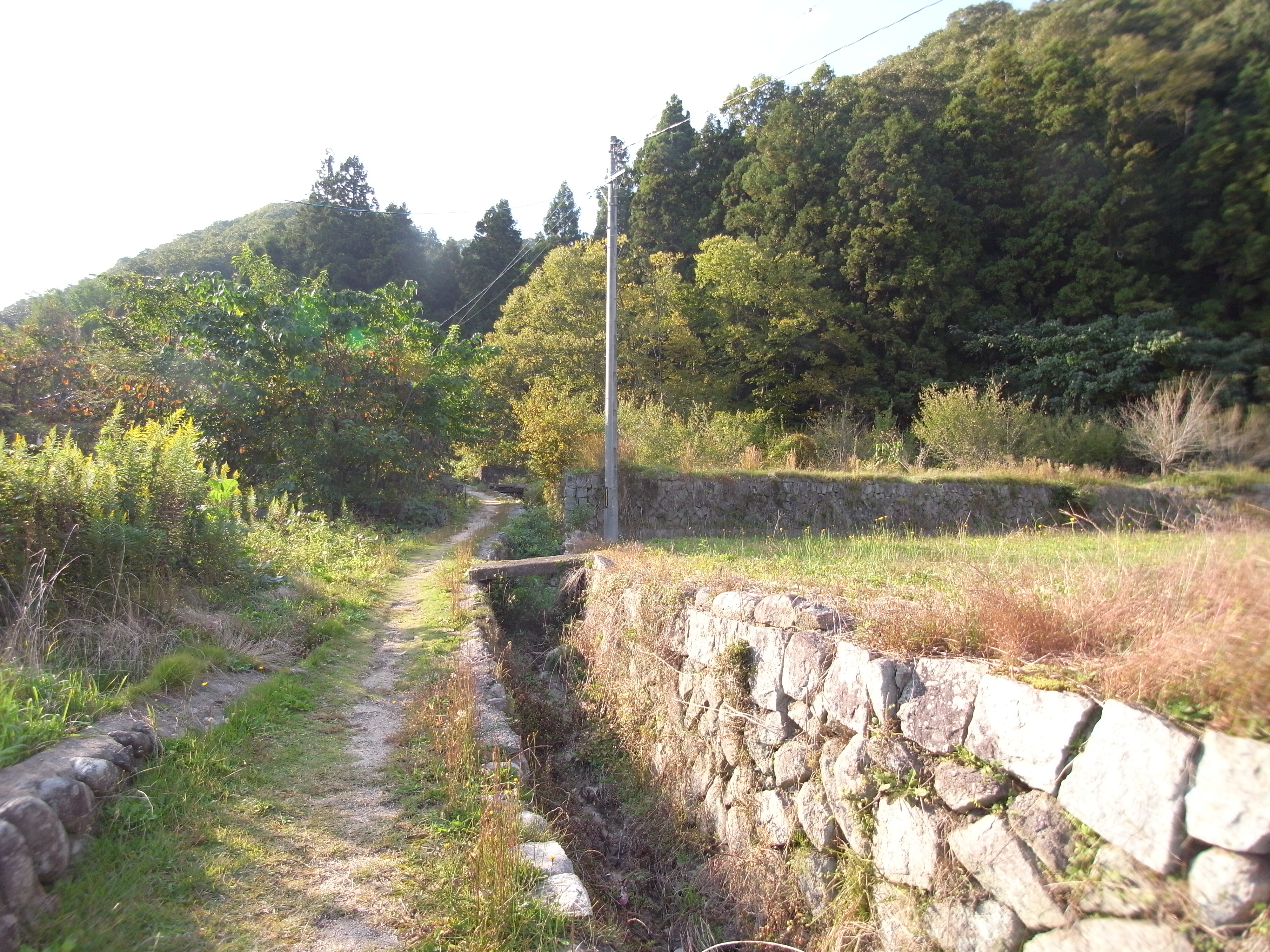 戸河内の現場へ～♪