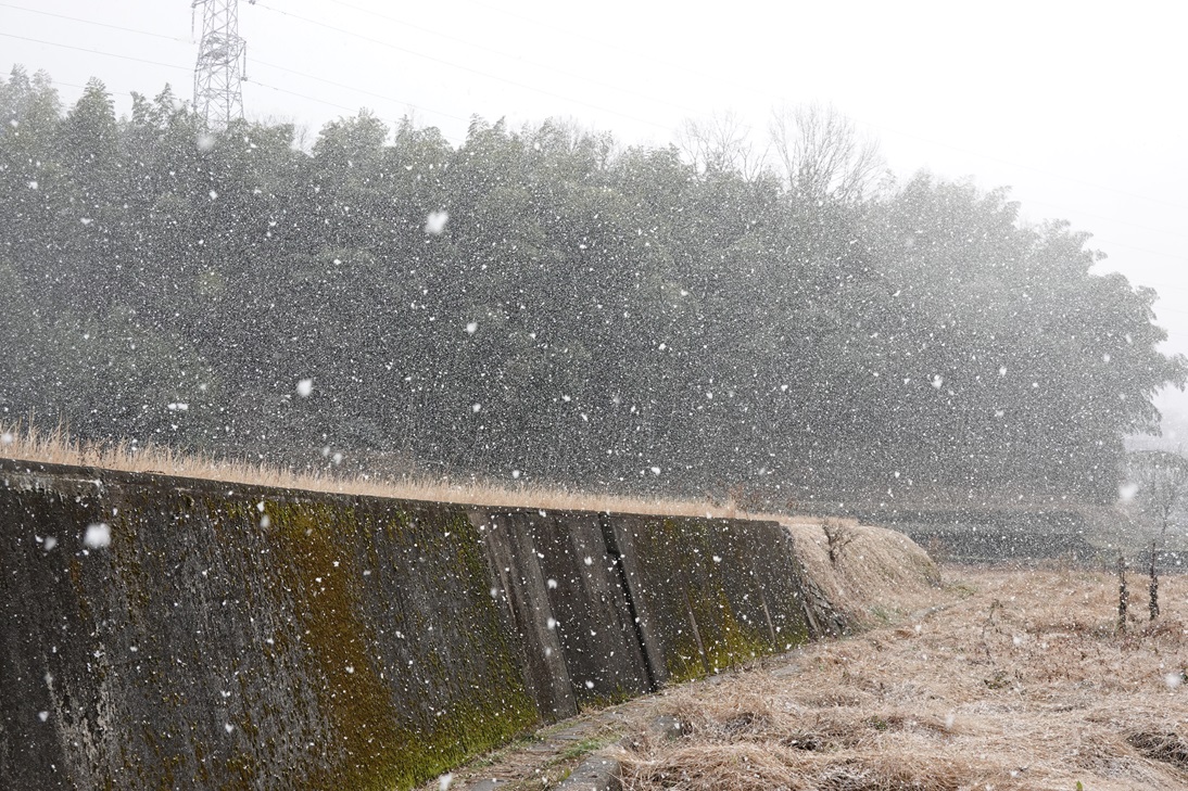 9日雪